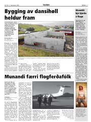 Síða 17