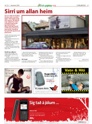 Síða 45