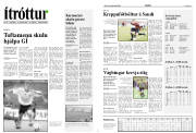 Síða 8