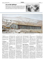 Síða 31