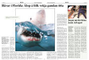 Síða 10