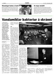 Síða 12