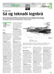 Síða 13