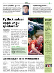 Síða 19