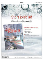 Síða 24