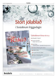Síða 5