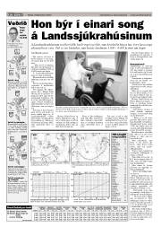 Síða 17