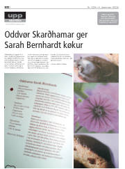Síða 24