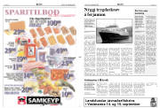 Síða 3