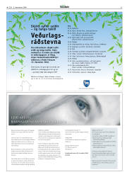 Síða 33