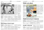 Síða 8