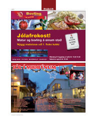 Síða 42