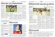 Síða 11