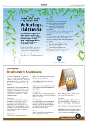 Síða 6