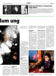 Síða 17