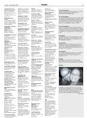Síða 41