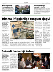Síða 6