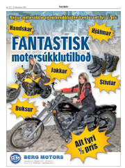 Síða 3