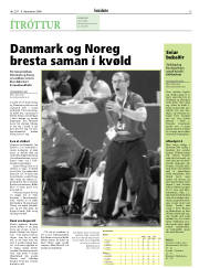 Síða 13