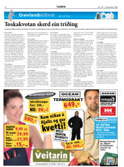 Síða 20