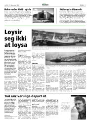 Síða 11