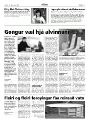 Síða 15