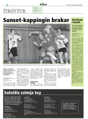Síða 20