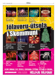 Síða 25
