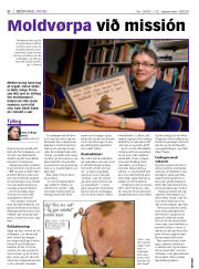 Síða 8