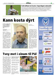 Síða 17