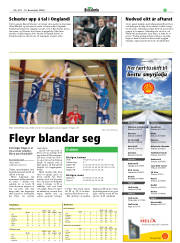 Síða 21