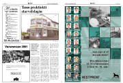 Síða 9