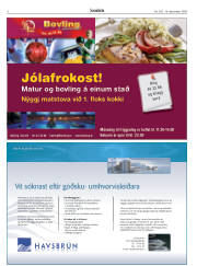 Síða 6