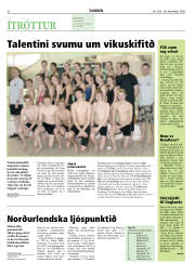Síða 20