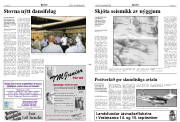 Síða 2
