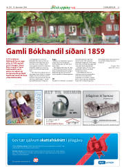 Síða 53