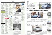 Síða 9