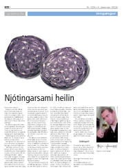 Síða 20