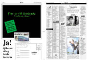 Síða 11