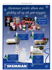 Síða 3