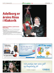 Síða 41