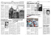 Síða 3