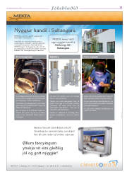 Síða 17