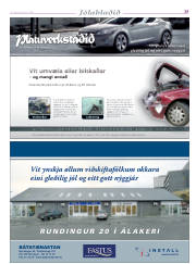 Síða 29