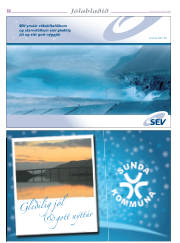 Síða 32