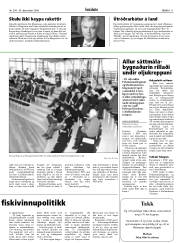 Síða 11