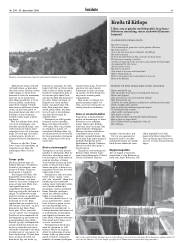 Síða 41
