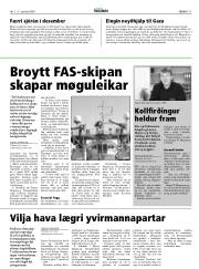 Síða 11