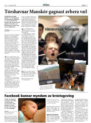 Síða 17