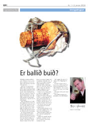 Síða 24